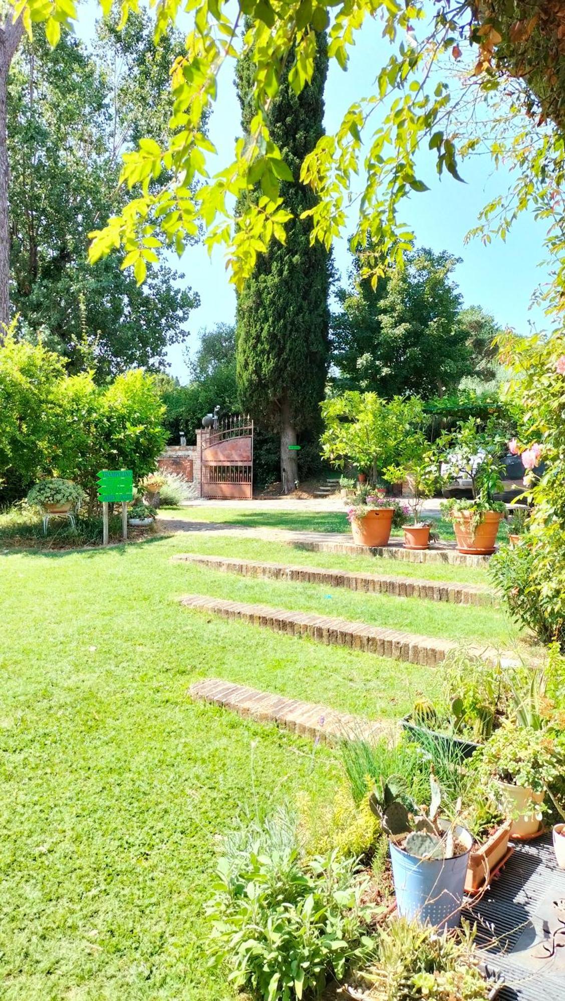 Ca' Dei Gelsi B & B Coriano Exterior foto