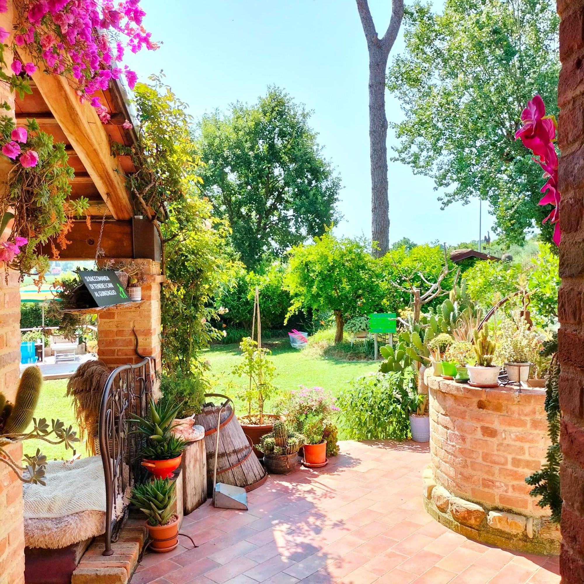 Ca' Dei Gelsi B & B Coriano Exterior foto