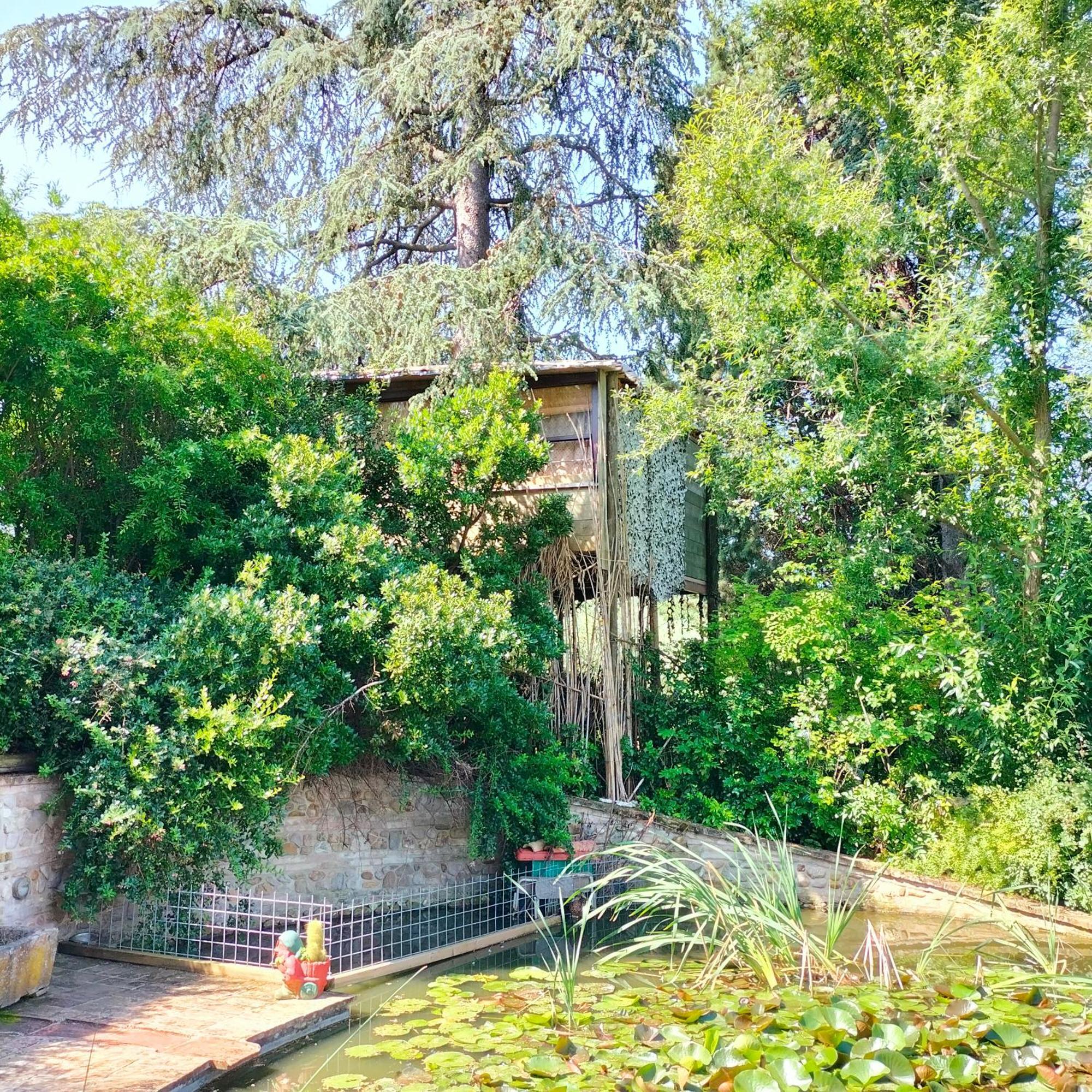 Ca' Dei Gelsi B & B Coriano Exterior foto