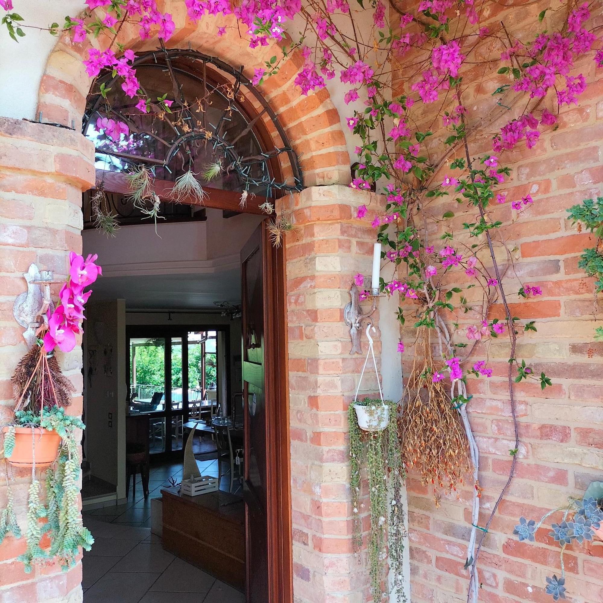 Ca' Dei Gelsi B & B Coriano Exterior foto